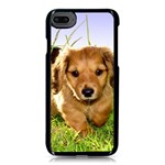 Puppy In Grass iPhone 8 Seamless Case (Black)