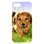 Puppy In Grass iPhone 7/8 Black UV Print Case