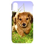 Puppy In Grass iPhone X/XS Black UV Print Case