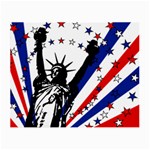 Statue of Liberty Small Glasses Cloth