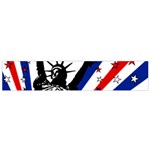 Statue of Liberty Small Flano Scarf