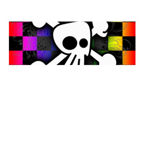 Checker Rainbow Skull Memory Card Reader (Stick) from ArtsNow.com Front