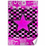 Pink Star Canvas 24  x 36 