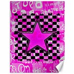 Pink Star Canvas 36  x 48 