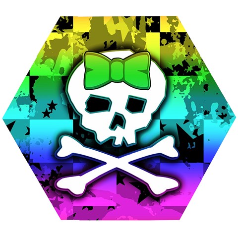 Rainbow Skull Wooden Puzzle Hexagon from ArtsNow.com Front