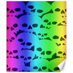 Rainbow Skull Collection Canvas 20  x 24 