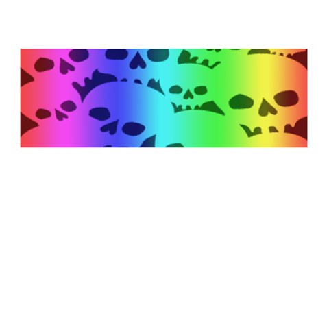 Rainbow Skull Collection Memory Card Reader (Stick) from ArtsNow.com Front