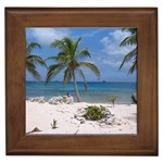 Exotic Beach Framed Tile