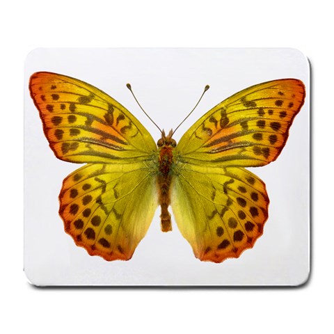 Butterfly M10 Large Mousepad from ArtsNow.com Front