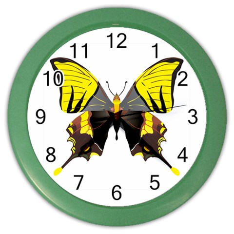 Butterfly M2 Color Wall Clock from ArtsNow.com Front