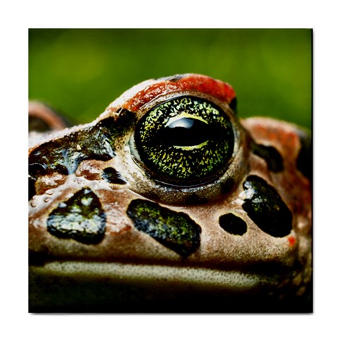 Tropical Frog Eye Tile Coaster from ArtsNow.com Front