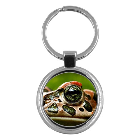 Tropical Frog Eye Key Chain (Round) from ArtsNow.com Front