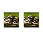 Tropical Frog Eye Cufflinks (Square)