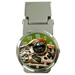 Tropical Frog Eye Money Clip Watch