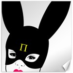 Bunny Girl Mask Canvas 12  x 12 