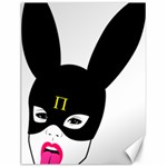 Bunny Girl Mask Canvas 12  x 16 