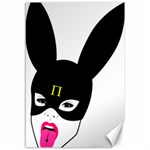 Bunny Girl Mask Canvas 12  x 18 