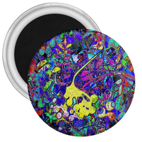 vibrant abstract floral/rainbow color 3  Magnets from ArtsNow.com Front