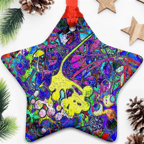 vibrant abstract floral/rainbow color Ornament (Star) from ArtsNow.com Front