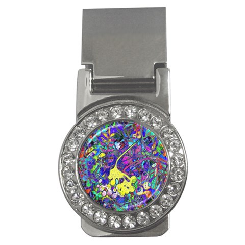 vibrant abstract floral/rainbow color Money Clips (CZ)  from ArtsNow.com Front