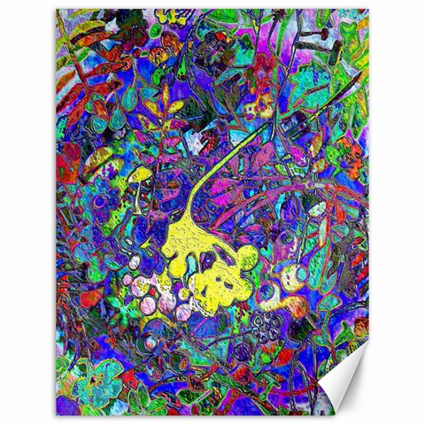 vibrant abstract floral/rainbow color Canvas 12  x 16  from ArtsNow.com 11.86 x15.41  Canvas - 1