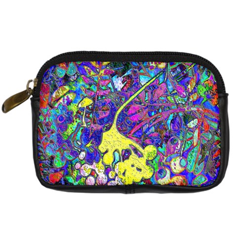 vibrant abstract floral/rainbow color Digital Camera Leather Case from ArtsNow.com Front