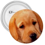 Labrador 3  Button