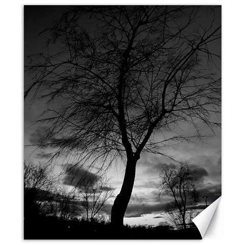 Black and White Tree 1 Canvas 8  x 10  from ArtsNow.com 8.15 x9.66  Canvas - 1