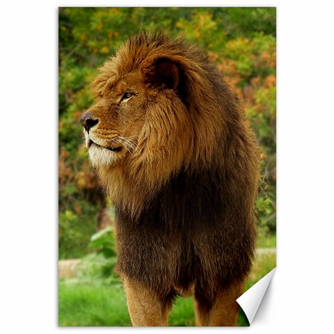 Alert lion Canvas 12  x 18  from ArtsNow.com 11.88 x17.36  Canvas - 1