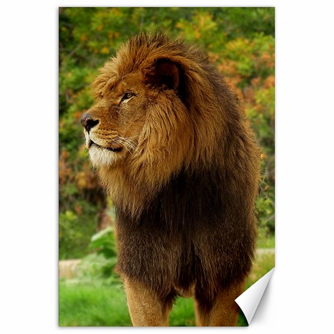 Alert lion Canvas 20  x 30  from ArtsNow.com 19.62 x28.9  Canvas - 1