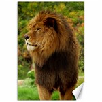 Alert lion Canvas 20  x 30 