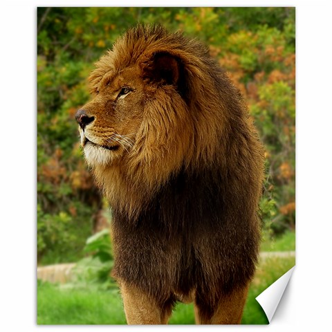 Alert lion Canvas 11  x 14  from ArtsNow.com 10.95 x13.48  Canvas - 1