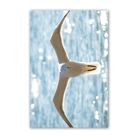 Seagull Poster 16  x 24  from ArtsNow.com 16 x24  Poster - 1