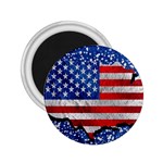 Usa-map-and-flag-on-cement-wall-texture-background-design-1591646654pet 2.25  Magnets