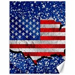 Usa-map-and-flag-on-cement-wall-texture-background-design-1591646654pet Canvas 12  x 16 