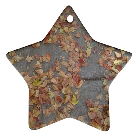 Sidewalk Leaves Ornament (Star) from ArtsNow.com Front