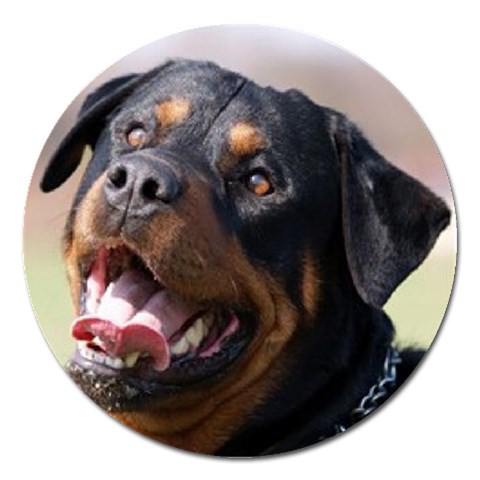 rottweiler Magnet 5  (Round) from ArtsNow.com Front