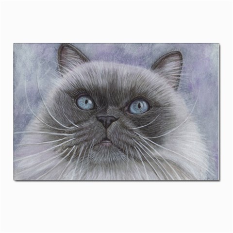 Himi Himalayan Cat Postcards 5  x 7  (Pkg of 10) from ArtsNow.com Front