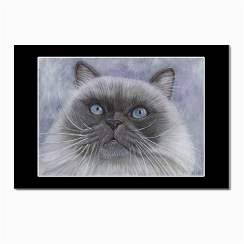 Himi Himalayan Cat Postcard 4 x 6  (Pkg of 10) from ArtsNow.com Front