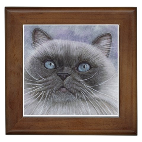 Himi Himalayan Cat Framed Tile from ArtsNow.com Front