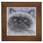 Himi Himalayan Cat Framed Tile