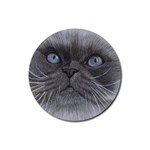 Himi Himalayan Cat Rubber Coaster (Round)