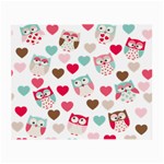 Lovely Owls Small Glasses Cloth