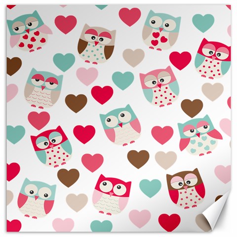 Lovely Owls Canvas 12  x 12  from ArtsNow.com 11.4 x11.56  Canvas - 1