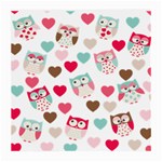 Lovely Owls Medium Glasses Cloth