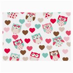 Lovely Owls Large Glasses Cloth