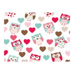 Lovely Owls Double Sided Flano Blanket (Mini)