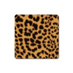 Leopard Print Spots Magnet (Square)