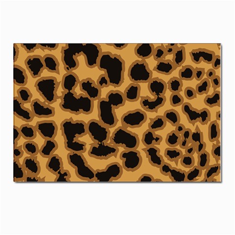 Leopard Print Spots Postcard 4 x 6  (Pkg of 10) from ArtsNow.com Front