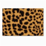 Leopard Print Spots Postcards 5  x 7  (Pkg of 10)